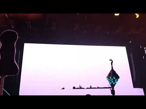 Funtcase X Cookie - ID