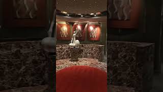 Bar Lounges Inside MSC Fantasia.  #cruise #travelvlog