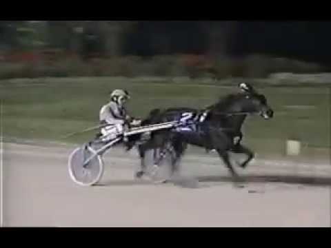 1994 Woodbine LOOKOUT VICTORY Breeders Crown 2YO Filly Trot John Patterson Jr