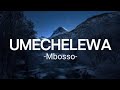 Mbosso - UMECHELEWA (Lyrics)