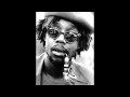 Peter Tosh - Downpresser Man