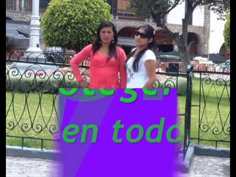 ali te amo mi shikita