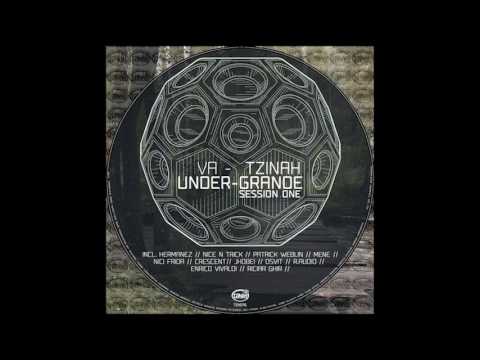 Patrick Weblin Nice 'N Trick–Meloman (Original Mix)