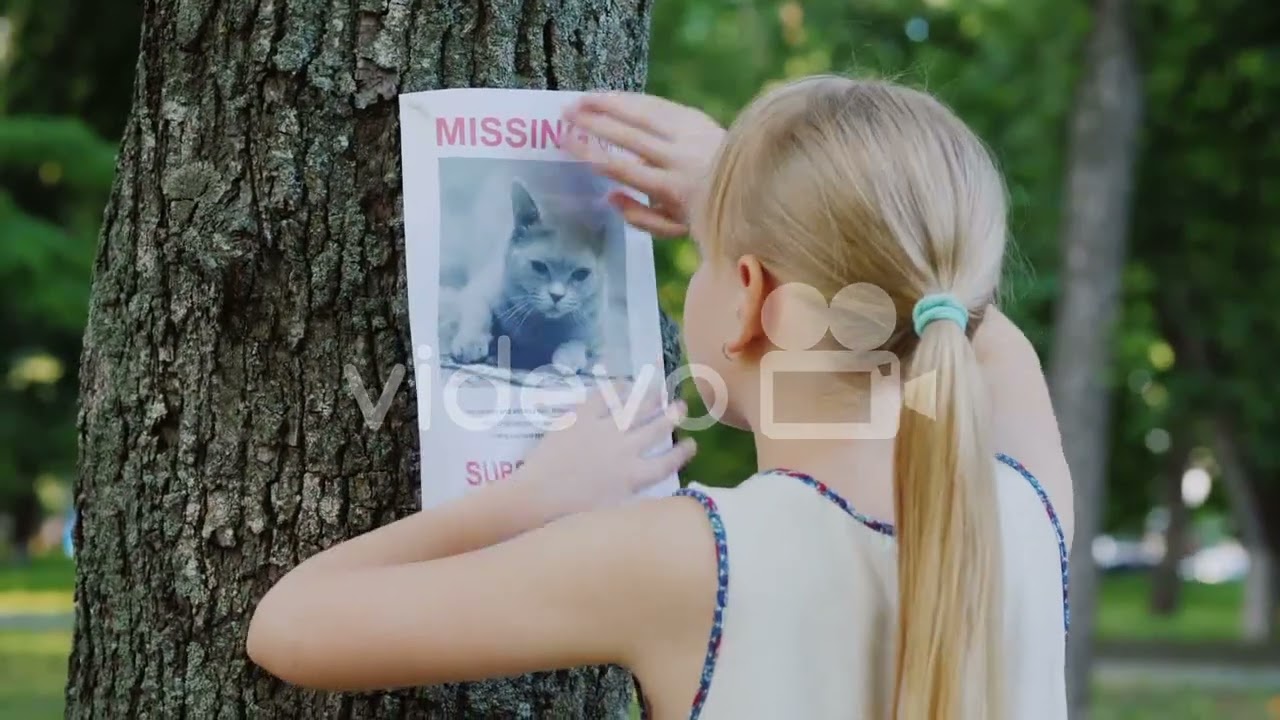 Missing pet poster 1