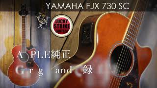 YAMAHA FJX730 SCを買った!!