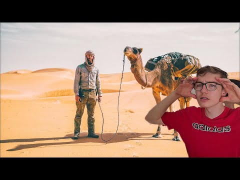 8 Tage durch die Sahara - Wüsten DSÜ mit Kamelen an | 🟣Frylixo Stream Highlights🟣