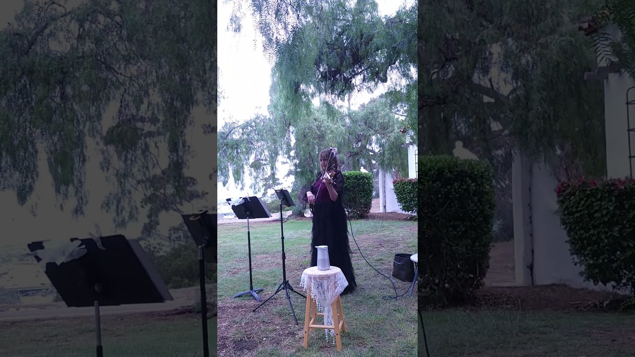 Promotional video thumbnail 8 for Dorothea Barth