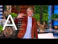 Ellen Degeneres And Covert Narcissism