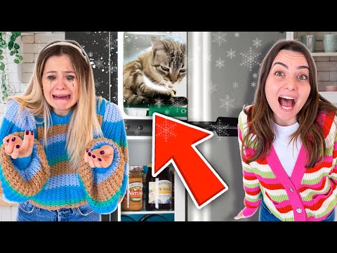 DANI E ROBBI HANNO CHIUSO PIADINA IL GATTO DI NINNA NEL CONGELATORE..! 🐱❄️ e SI ARRABBIA TANTISSIMO