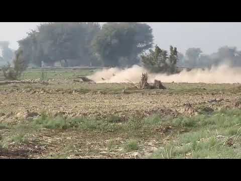 new Shikar 2023|kathadogs| pig hunting in Pakistan