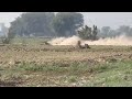 New Shikar 2023 Kathadogs Pig Hunting In Pakistan