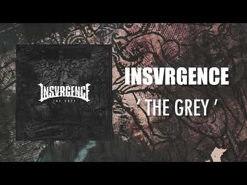 Insvrgence - The Grey (Official Audio Stream)