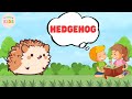 Hedgehog Facts For Kids - Learn All About Hedgehogs | MON Kids