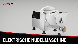 Machine à pâtes électrique – 5 kg/h – 250 watts – Ø 50 mm filière