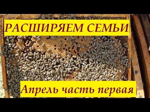 Метод Блинова работает, продолжаем расширение часть 1