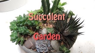 Making a Small Succulent Centrepiece