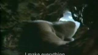 Anthony Phillips Now What (are they doing to my little friends)