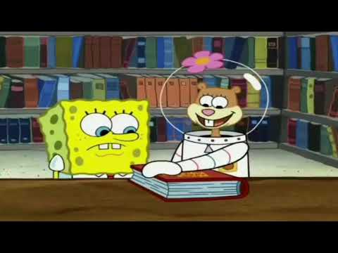 My Little Animal: The Movie Part 3 - Preparing for The Friendship Festival