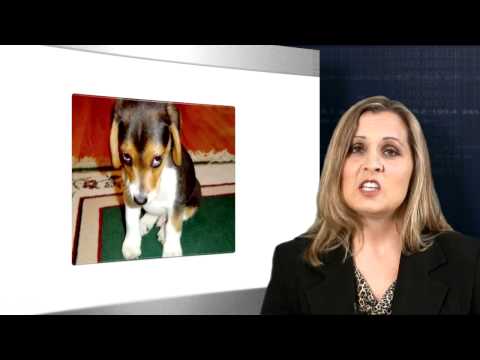 What is Bankruptcy? | Syracuse Utah Bankruptcy Lawyers Video 01