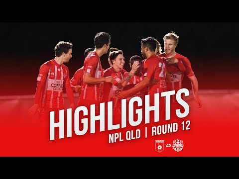 NPL QLD 2019 Round 12 - Brisbane City FC vs Olympic FC Highlights