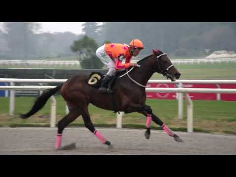 230624 c04 -  KANEMAN (BRZ) - HIPODROMO DE MAROÑAS