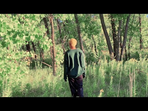 Video thumbnail for Killing Trees