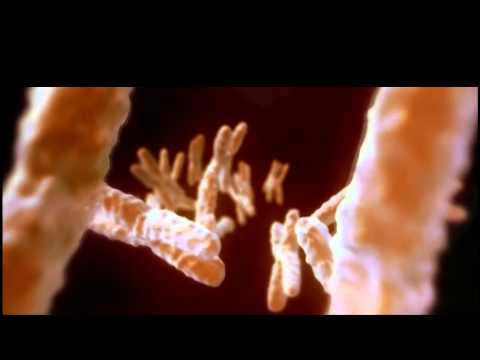 Aes Dana - Anthrazit (feat. Field Rotation) (HD)