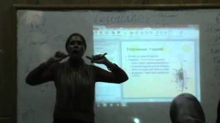 Gynacology - Dr.Nadine Alaa Sherif - Cervicitis