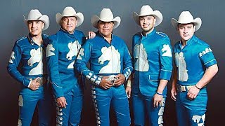 ESPINAS | BRONCO LETRA