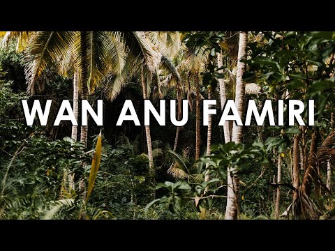 Wan Anu Famiri - Mi Sabi Busi Pe Dondru Bari (Busi Ingi)