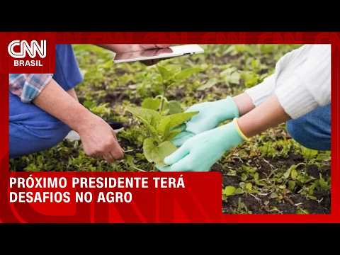 Crédito, seguro e logística: os desafios do próximo presidente para o agro | CNN PRIME TIME
