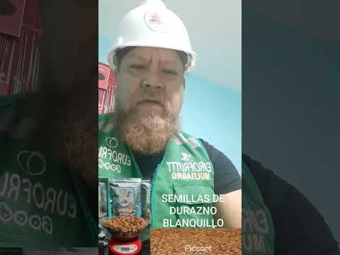 SEMILLAS DE DURAZNO BLANQUILLO EN EUROFRUTTT...902125194 Y 924124076
