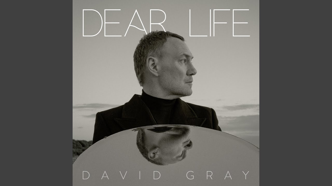 David Gray - Fighting Talk