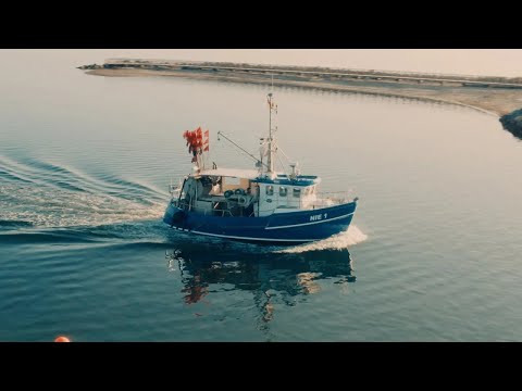 Northern Germany from above (2021) 🚁