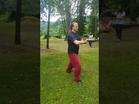 Tai Chi Form Short Traditional Yang Style Kisforma Telkibanya 20180713 121424