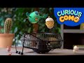 Curious Como Fan More Episodes 16min Cartoon Video For Kids Como Kids TV