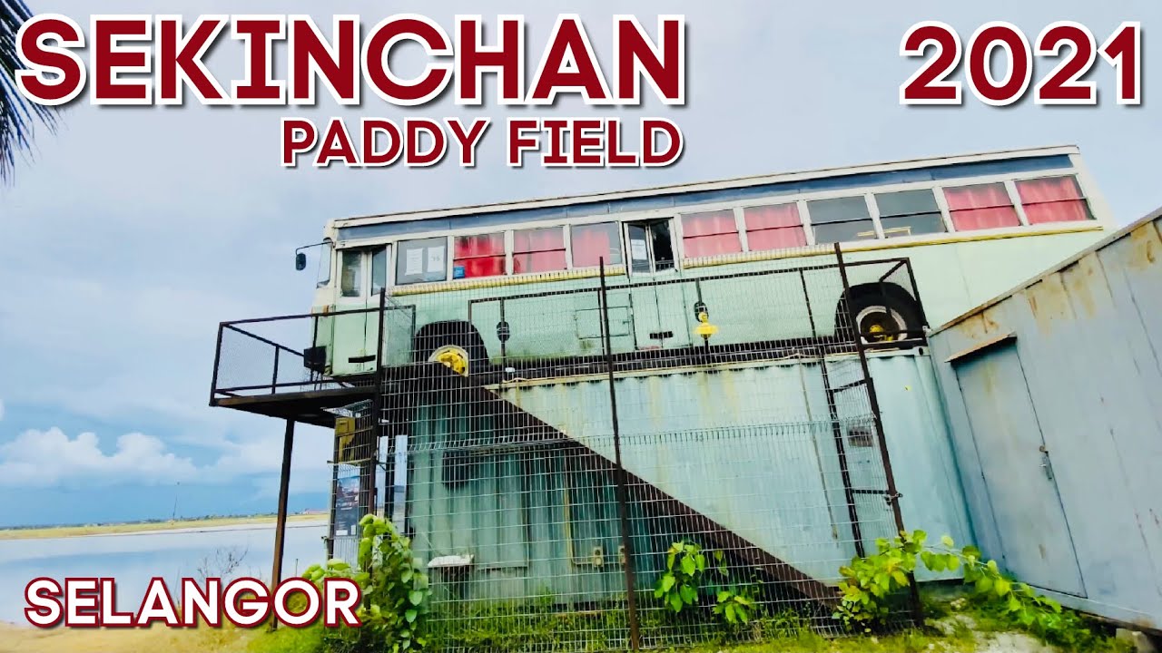 [4K Walk] The View Of Paddy Field in Sekinchan Selangor (Malaysia)