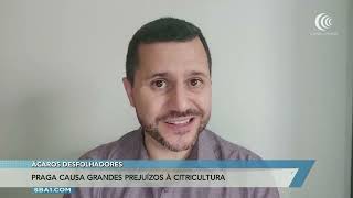 Miniatura do vídeo