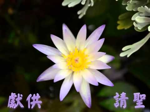 祥雲觀法會