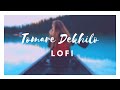 Tomare Dekhilo By Habib & Nancy (Lofi Hip Hop Mix ) - Full Audio .