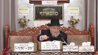 הרב מאיר מזוז | דף היומי | מוסאיוף (בית הכנסת מוסאיוף) - התמונה מוצגת ישירות מתוך אתר האינטרנט יוטיוב. זכויות היוצרים בתמונה שייכות ליוצרה. קישור קרדיט למקור התוכן נמצא בתוך דף הסרטון