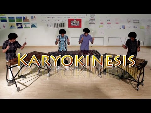"Karyokinesis" (Original Mallet Quartet)