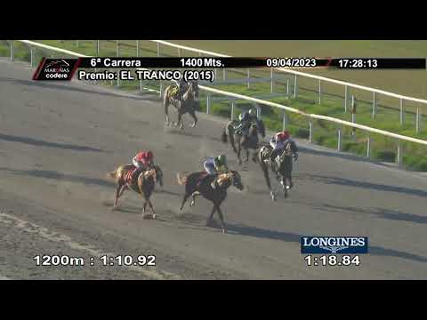 230409 c06 WARRIOR (BRZ)