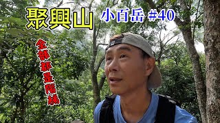 小百岳 聚興山 新田登山步道O型走 台中熱門木棧階梯