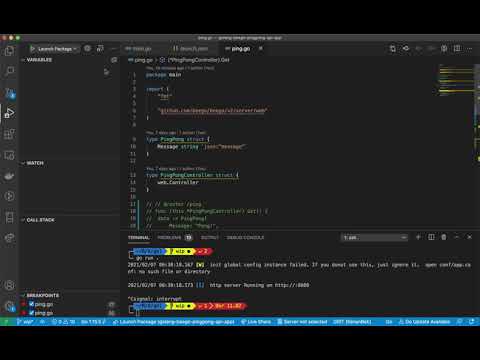 How to debug Go Web App using VS Code?