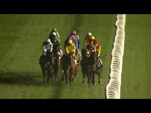 Meydan Racecourse, 16 January 2016 - Race 5 - Mohd bin Rashid Al Maktoum City - District O