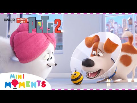 Max Goes To The Vet! | Secret Life of Pets 2 | Extended Preview | Movie Moments | Mini Moments