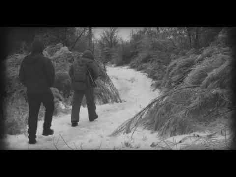 A Journey for a Beer