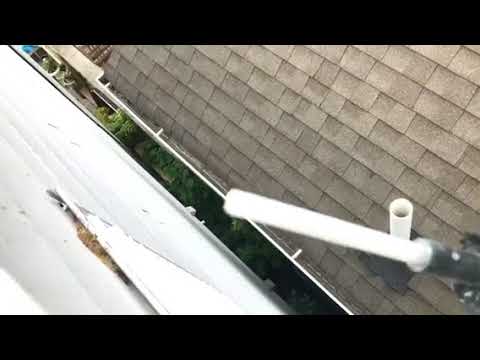 Carpenter bees drill into Atlantic Highlands, NJ home