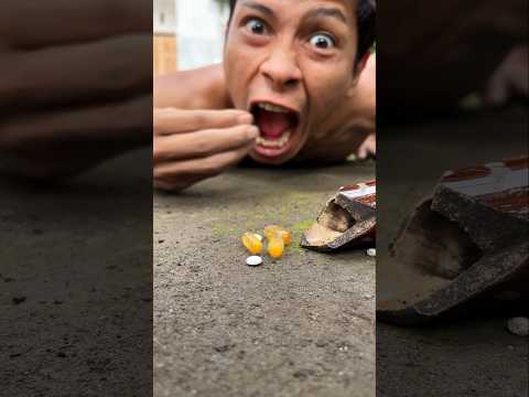 Go ahead and eat, it won't be long before the millipede come out attracted by these vitamins